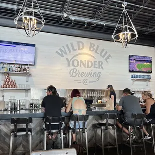 people sitting at the bar