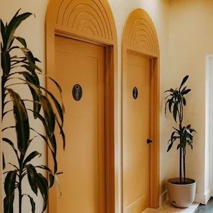 two yellow doors and a potted plant