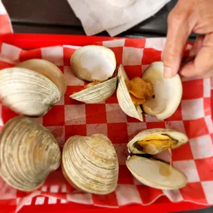 Steamed clam