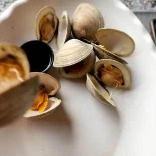 Steamed clam