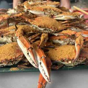 Our platter of 18 large crabs! Amazing!