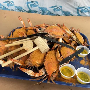 Dozen Lady crabs for $25!!!!