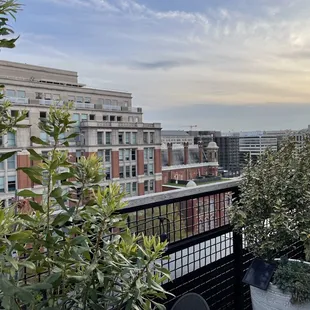 View from the outdoor rooftop