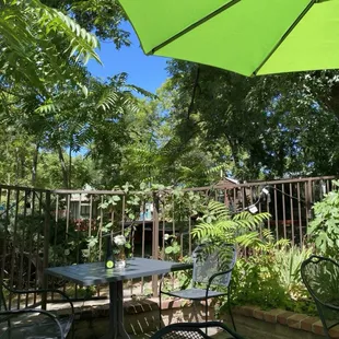 Under the trees and bird song