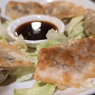 Wild Ginger Asian Bistro