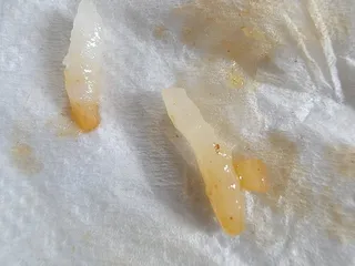 Hokkaido - Circleville