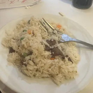 Beef fried rice