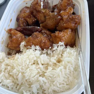 General tsos