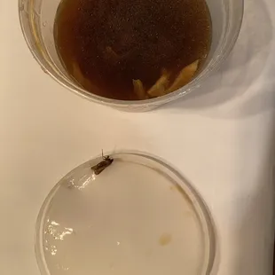 Insect I almost ate