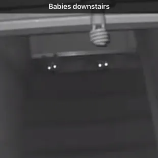 Babies waiting for me at the top of the stairs while I was out to eat