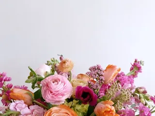 Botanica - Flower Studio