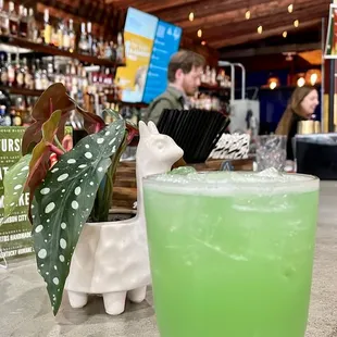 a green drink in a glass