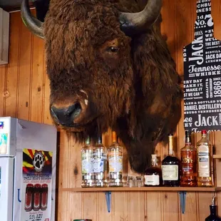 a buffalo head mounted on a wall