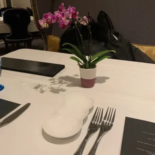 food, sushi and sashimi