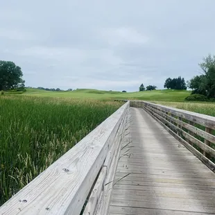 Marsh area