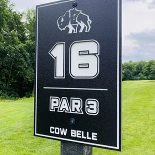 I liked this hole name