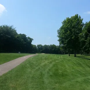 The hidden gem of the far western suburbs. A real beauty.