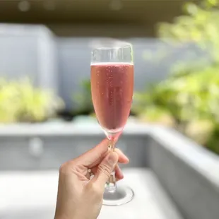 Hibiscus Ginger Mimosa