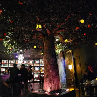 Cool tree