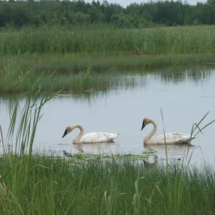 Wild River Outfitters