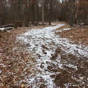 Mild Winter trail.