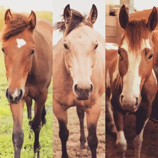 The Youngsters!