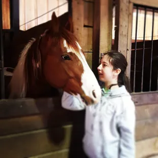 This was a very sweet horse.