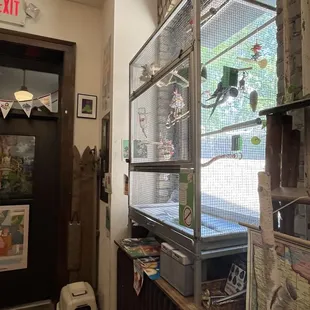 This is Dave - he's 26!