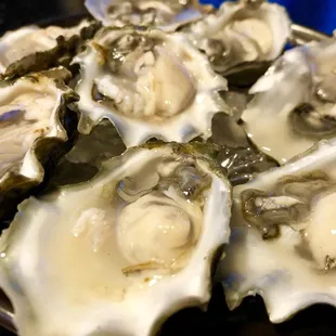 Closeup of Pickering Passage Oysters.