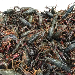 a large pile of craybers