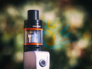Oasis Vape Paseo