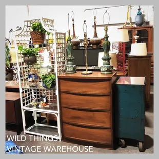 Assortment of goodies from Wild Things Antiques Warehouse!
