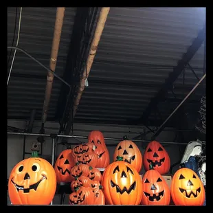 Assortment of goodies from Wild Things Antiques Warehouse!