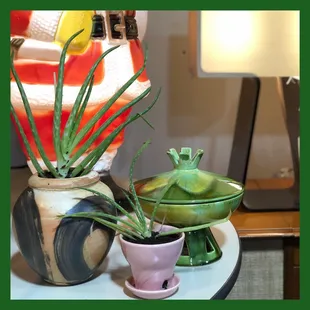 Assortment of goodies from Wild Things Antiques Warehouse!