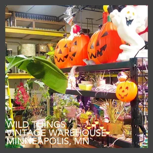 Assortment of goodies from Wild Things Antiques Warehouse!