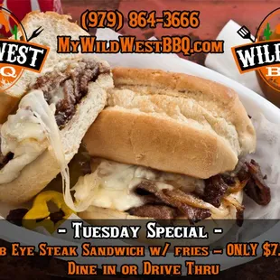 Tuesday Special!