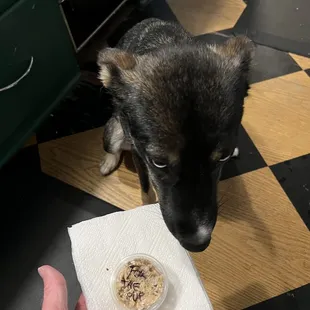 She may be a shy rescue, but she was not about to share her treat!