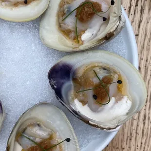 Littleneck Clams