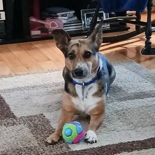 She loves the extra attention she gets from the staff