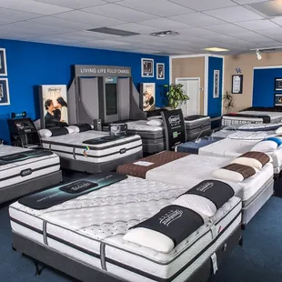 Beautyrest Mattresses in Lexington Kentucky at Wildcat Mattress.