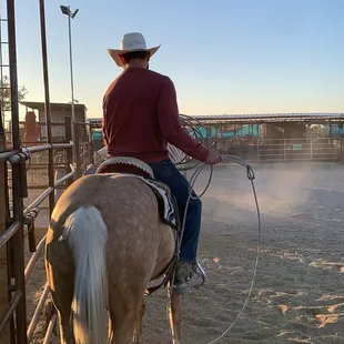 Start gate with Jw and Rocco
