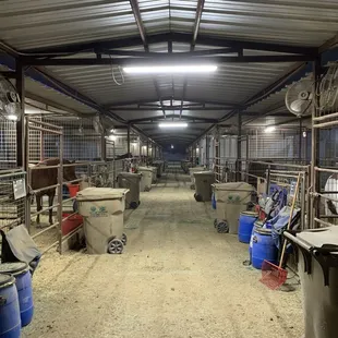 Nightly chores commence