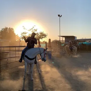 Typical weekend activities with boarders and family