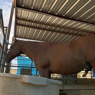 Hanging out with the teddy bear