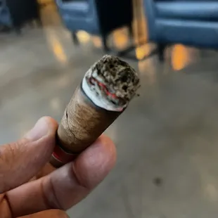 a hand holding a cigar