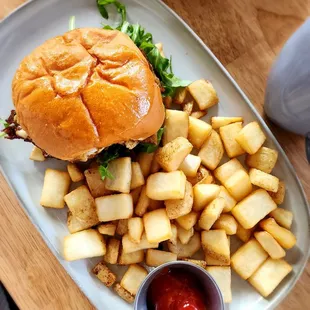 a plate of fries and a burger