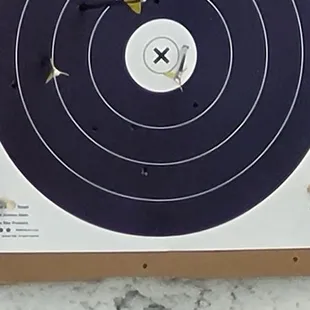 My Grandson got a bullseye