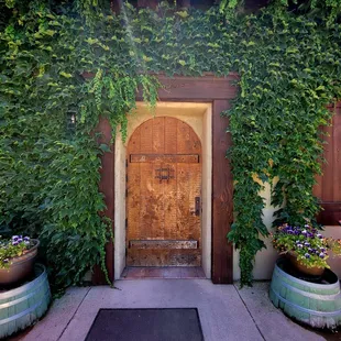 Entrance with vines growing around old door
