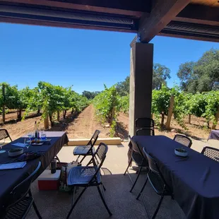 Outside area with shade cover with view of vineyards--you can bring your own food, and do wine tasting out here