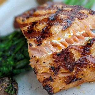 Salmon